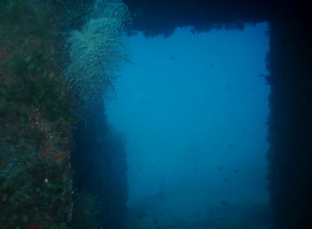 el fondo marino de valencia
